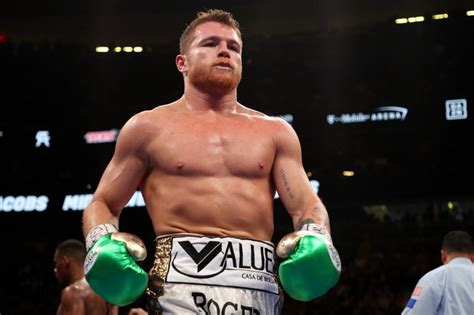 canelo alavrez|canelo álvarez next fight.